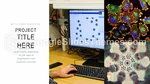 Kardiologi Aorta Google Slides Temaer Slide 18