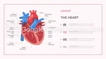Cardiologie Cardiovasculaire Google Presentaties Thema Slide 14
