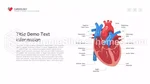 Kardiologi Hvad Er Kardiologi Google Slides Temaer Slide 31