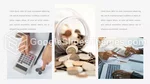 Finanse Podatek Bezpośredni Gmotyw Google Prezentacje Slide 13