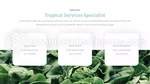 Vita Sana Nutrizione Tema Di Presentazioni Google Slide 14