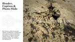 Militär Luftwaffe Google Präsentationen-Design Slide 07