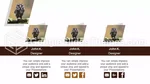 Doğa Hayvan İnfografik Google Slaytlar Temaları Slide 06