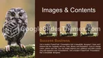 Doğa Hayvan İnfografik Google Slaytlar Temaları Slide 13