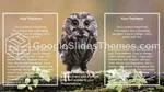 Doğa Hayvan İnfografik Google Slaytlar Temaları Slide 18