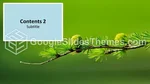 Natur Bunte Landschaften Google Präsentationen-Design Slide 04