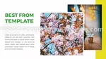 Nature Creative Attractive Modern Google Slides Theme Slide 09