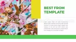 Natur Kreativ Attraktiv Moderne Google Slides Temaer Slide 12
