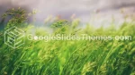 Natur Grönt Landskap Google Presentationer-Tema Slide 03