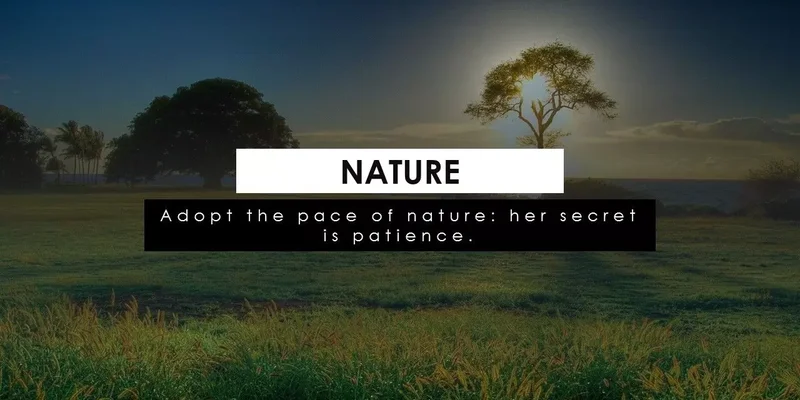 Landscapes Scenery Google Slides template for download