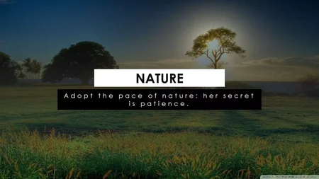 Landscapes Scenery Google Slides template for download