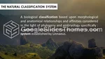 Natuur Landschappen Omgeving Google Presentaties Thema Slide 04
