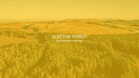 Skotsk skog Google Presentasjoner tema til nedlastning