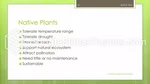 Naturaleza Presentación De Plantas Simples Tema De Presentaciones De Google Slide 10