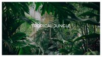 Tropikal Orman İndirmeye hazır Google Slaytlar şablonu