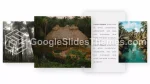 Nature Jungle Tropicale Thème Google Slides Slide 03