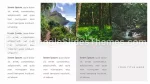 Nature Jungle Tropicale Thème Google Slides Slide 05