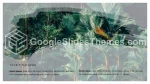 Doğa Tropikal Orman Google Slaytlar Temaları Slide 09