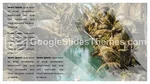 Natur Tropisk Djungel Google Presentationer-Tema Slide 13