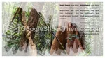 Natur Tropisk Djungel Google Presentationer-Tema Slide 14