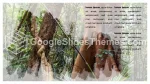 Nature Jungle Tropicale Thème Google Slides Slide 14