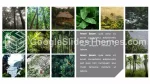 Natuur Tropische Jungle Google Presentaties Thema Slide 18