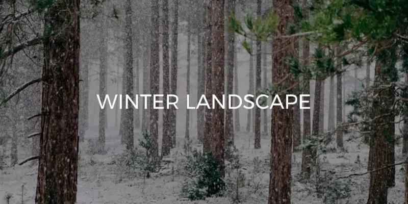 Vinterlandskab Google Slides skabelon for download
