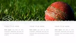Sport Cricket Google Slides Theme Slide 07
