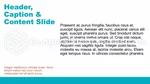 Sport Yearly Budget Planning Google Slides Theme Slide 03
