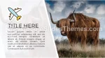 Resor Backpacker Trip Google Presentationer-Tema Slide 07